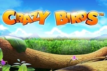 Crazy Birds™