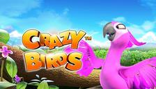 Crazy Birds™