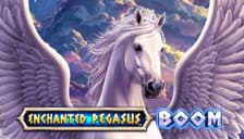 Enchanted Pegasus Boom