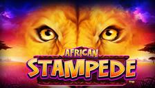 Highroller African Stampede™