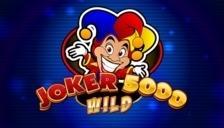 Joker 5000 Wild