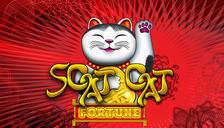 Scat Cat Fortune